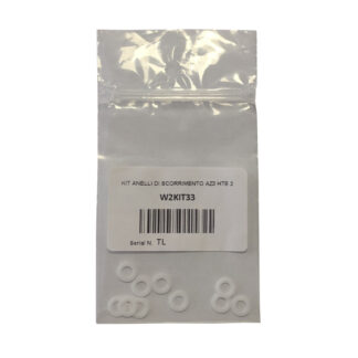Iwata Slide Ring Kit (10 piece) (W2KIT33)