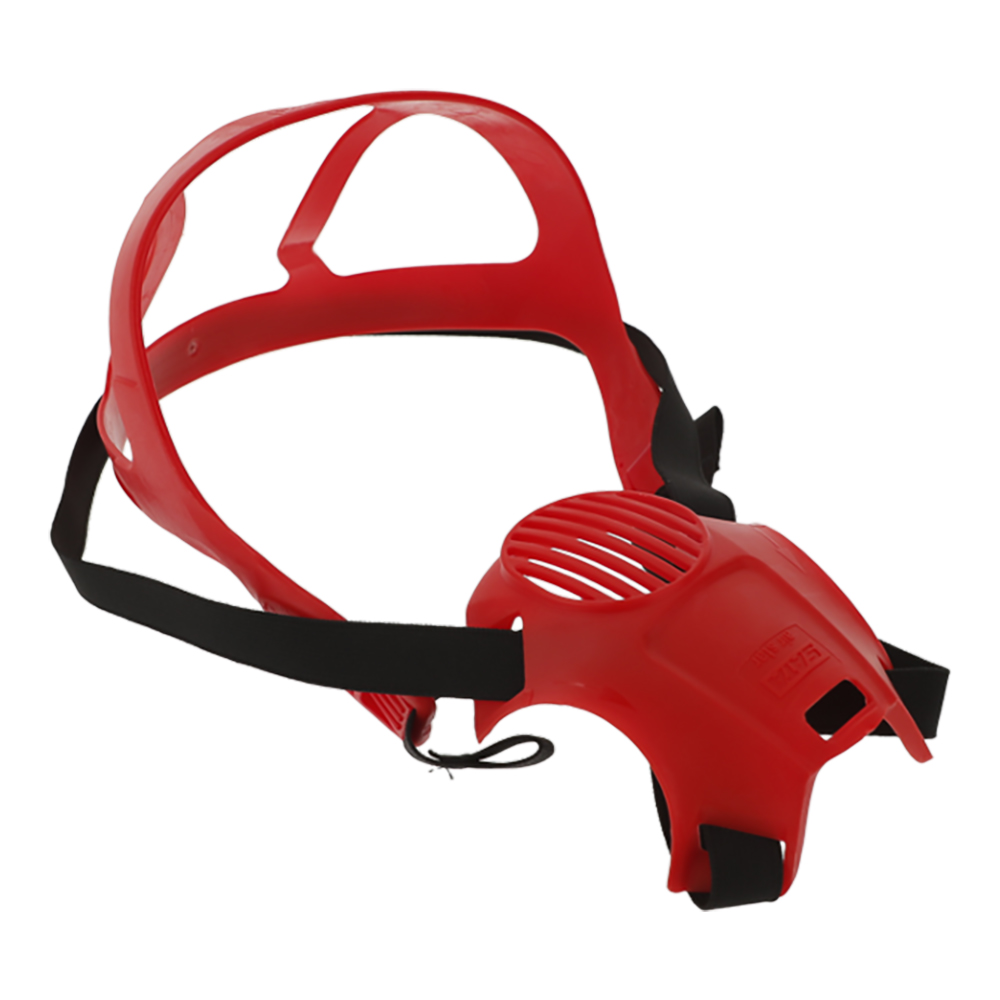 sata-air-star-c-head-strap-134254 SATA Head Strap With Fixing Unit And Yoke (134254)