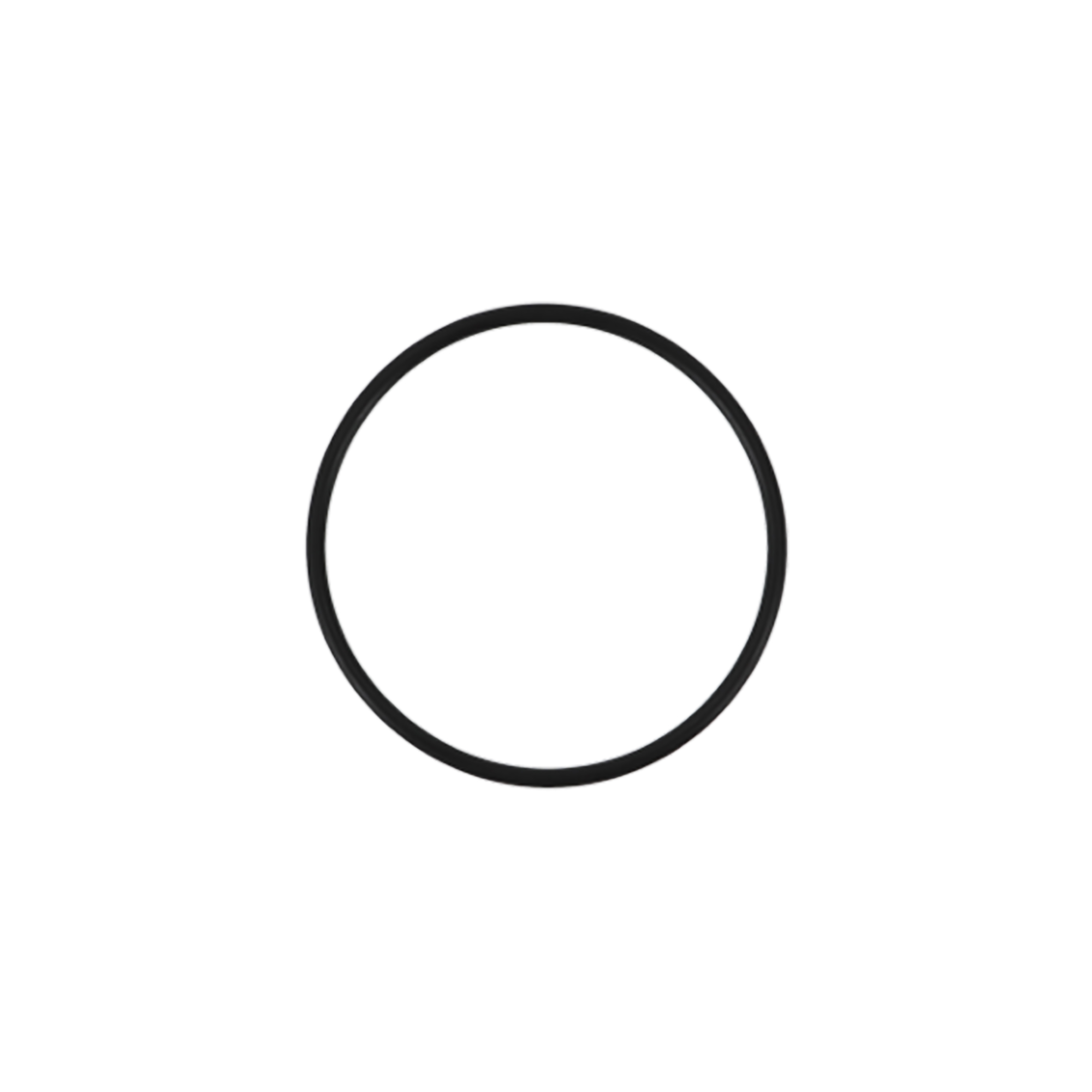 SATA O-Ring 54x2.5mm Perbunan for housing (22947)