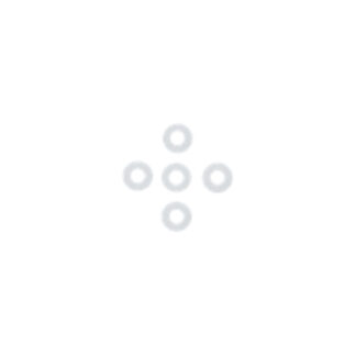 SATAgraph O-Ring (5x) (138909)