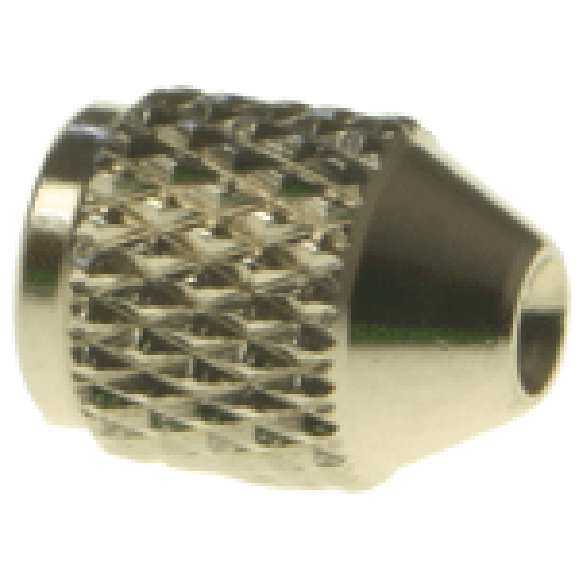 Iwata Needle Chucking Nut for Iwata Neo Series Airbrushes (IWN-1201)