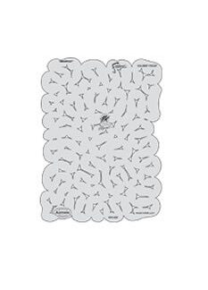 Iwata Template (Brainiac)