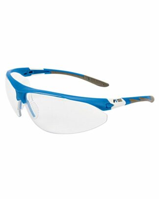 Iwata Visionshield Safety Glasses SpraygunsDirect