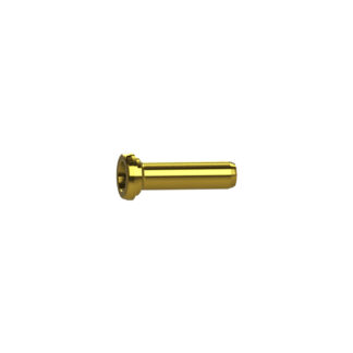 Iwata Air Valve (93001690)