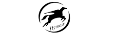 Hymair Airbrush